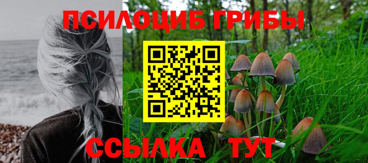 Галлюциногенные грибы GOLDEN TEACHER  Псилоцибиновые грибы GOLDEN TEACHER  Вход с VPN  Чита 